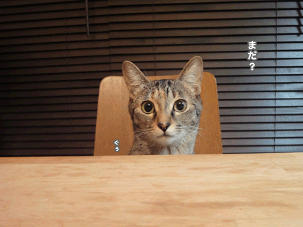 続・いっくんの “それゆけ 一球入魂 ”-ごはん2