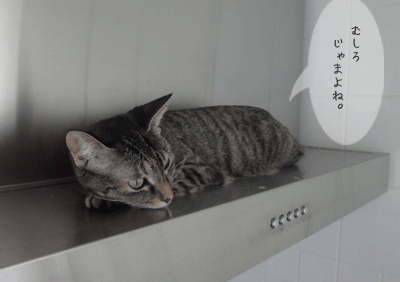 続・いっくんの “それゆけ 一球入魂 ”-大掃除4