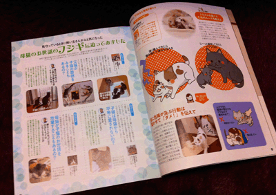 続・いっくんの “それゆけ 一球入魂 ”-ねこのきもち2月2