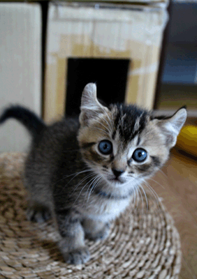 続・いっくんの “それゆけ 一球入魂 ”-つぶ