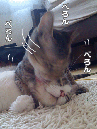 続・いっくんの “それゆけ 一球入魂 ”-なめ２