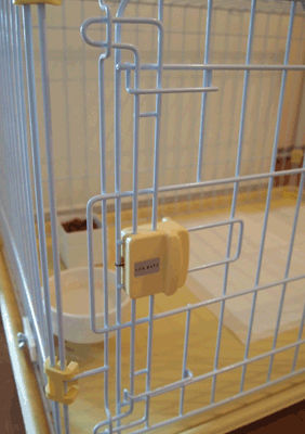 続・いっくんの “それゆけ 一球入魂 ”-ケージ2