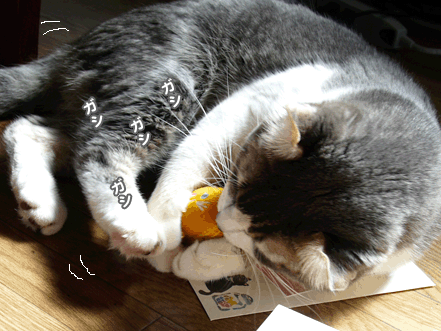 続・いっくんの “それゆけ 一球入魂 ”-vd4