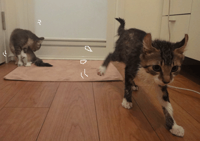 続・いっくんの “それゆけ 一球入魂 ”-お風呂ドライ1