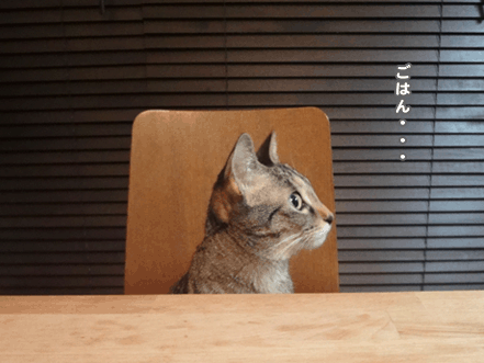 続・いっくんの “それゆけ 一球入魂 ”-ごはん1