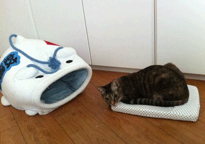 続・いっくんの “それゆけ 一球入魂 ”-蚊取り3