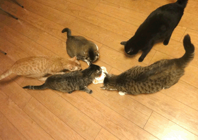 続・いっくんの “それゆけ 一球入魂 ”-2012年4月15日２