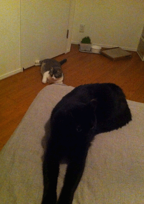 続・いっくんの “それゆけ 一球入魂 ”-もす