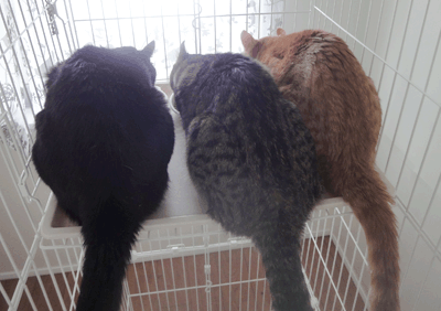 続・いっくんの “それゆけ 一球入魂 ”-メンズ1