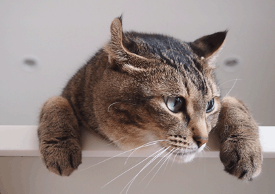 続・いっくんの “それゆけ 一球入魂 ”-パドリング4