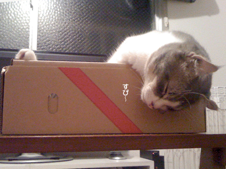 続・いっくんの “それゆけ 一球入魂 ”