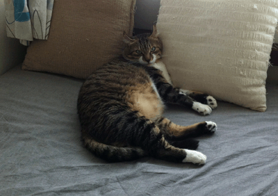 続・いっくんの “それゆけ 一球入魂 ”-まる