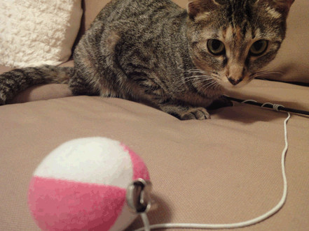 続・いっくんの “それゆけ 一球入魂 ”