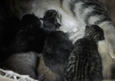 続・いっくんの “それゆけ 一球入魂 ”-baby8