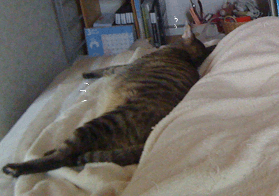 続・いっくんの “それゆけ 一球入魂 ”-baby1