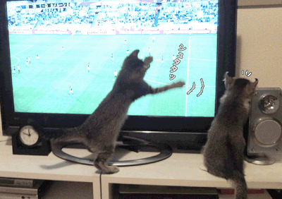 続・いっくんの “それゆけ 一球入魂 ”-なでしこ2