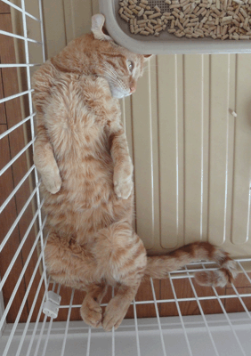 続・いっくんの “それゆけ 一球入魂 ”-直4