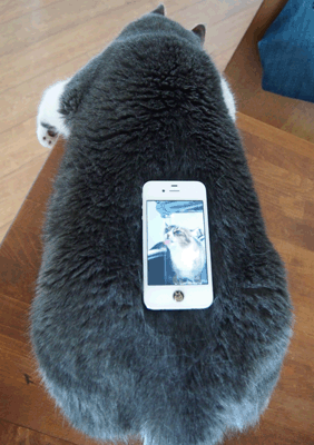 続・いっくんの “それゆけ 一球入魂 ”-背中。