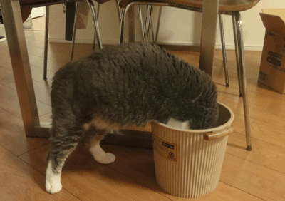 続・いっくんの “それゆけ 一球入魂 ”-ごみ2