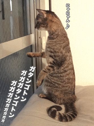 続・いっくんの “それゆけ 一球入魂 ”-窓3