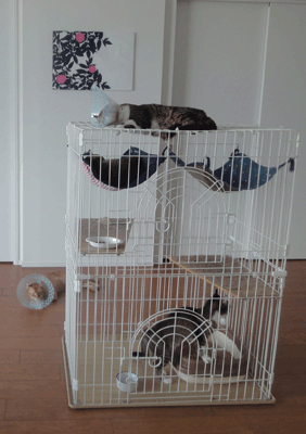 続・いっくんの “それゆけ 一球入魂 ”-まる上