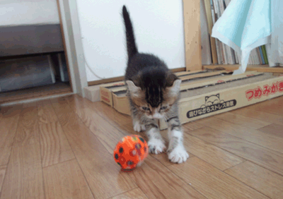 続・いっくんの “それゆけ 一球入魂 ”-うぶ