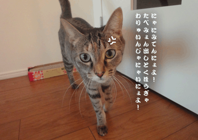 続・いっくんの “それゆけ 一球入魂 ”-餅6