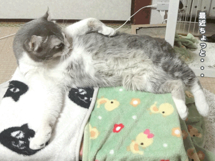 続・いっくんの “それゆけ 一球入魂 ”-ボディ2