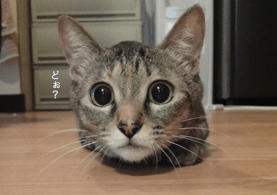 続・いっくんの “それゆけ 一球入魂 ”-生1