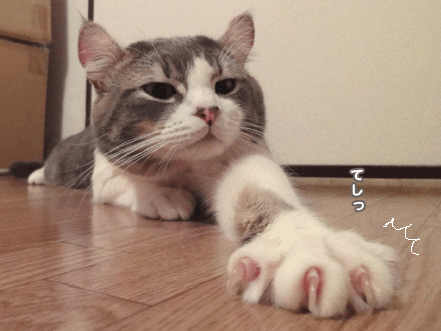 続・いっくんの “それゆけ 一球入魂 ”-首4