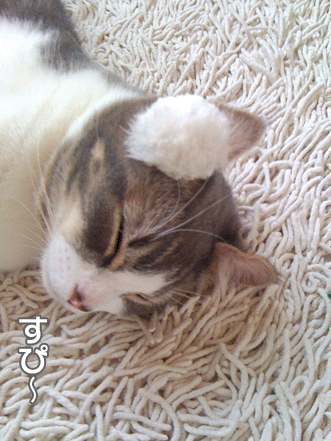 続・いっくんの “それゆけ 一球入魂 ”-みみ1