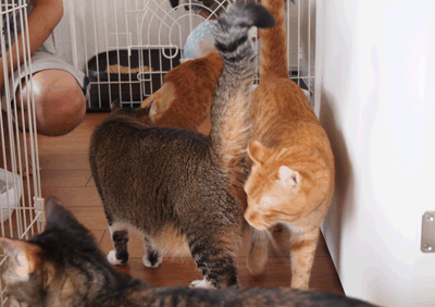 続・いっくんの “それゆけ 一球入魂 ”-走10