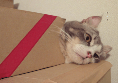 続・いっくんの “それゆけ 一球入魂 ”-切れ目1