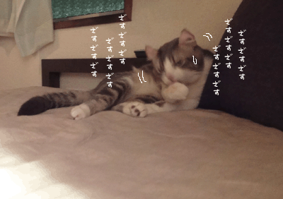 続・いっくんの “それゆけ 一球入魂 ”-baby5