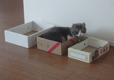 続・いっくんの “それゆけ 一球入魂 ”-いつもの箱1