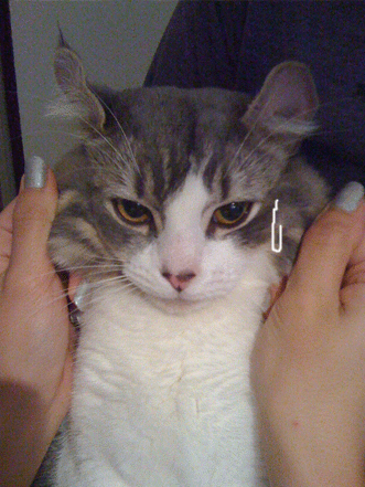 続・いっくんの “それゆけ 一球入魂 ”-のび２