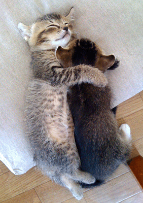 続・いっくんの “それゆけ 一球入魂 ”-うぶつぶ