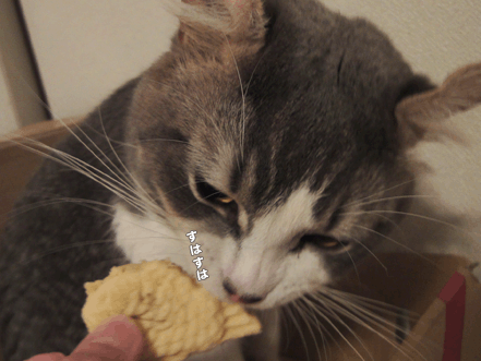 続・いっくんの “それゆけ 一球入魂 ”-vt3