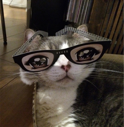いちめがね１