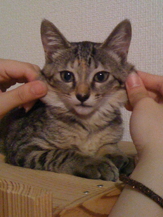 続・いっくんの “それゆけ 一球入魂 ”-のび１