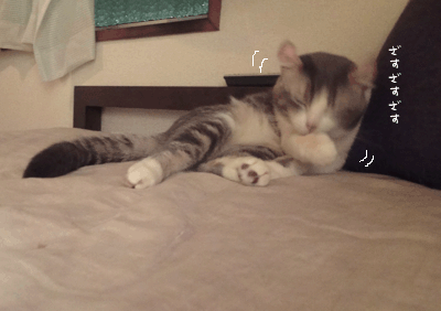 続・いっくんの “それゆけ 一球入魂 ”-baby4