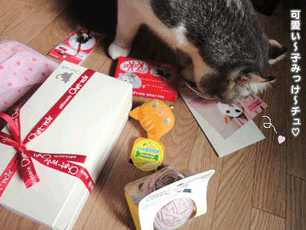 続・いっくんの “それゆけ 一球入魂 ”-vd2