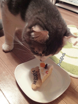 続・いっくんの “それゆけ 一球入魂 ”-誕生日5