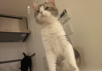 続・いっくんの “それゆけ 一球入魂 ”-一球