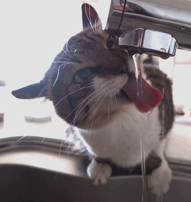 続・いっくんの “それゆけ 一球入魂 ”-まる２