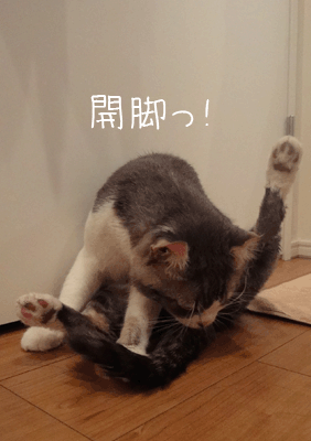 続・いっくんの “それゆけ 一球入魂 ”-お風呂ドライ10