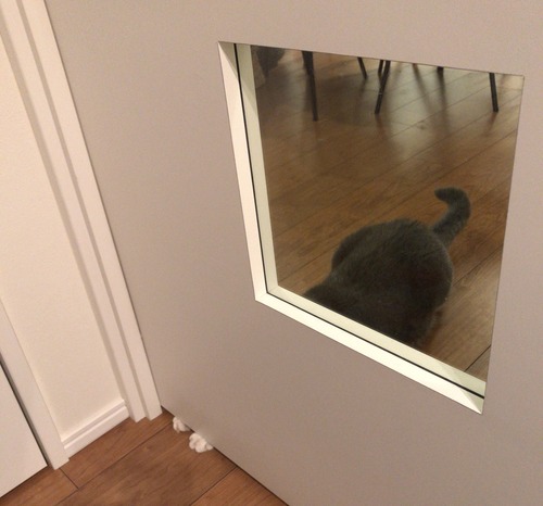 9A106341-EE4C-4DEA-BA7F-605D4B63E621