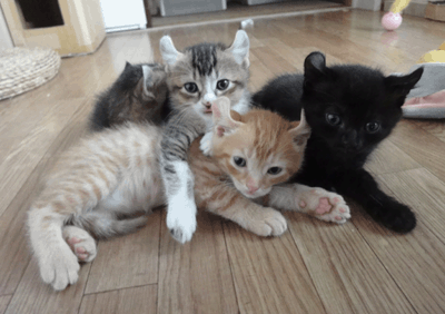 続・いっくんの “それゆけ 一球入魂 ”-よん