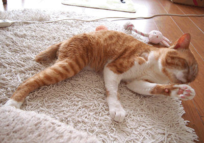 続・いっくんの “それゆけ 一球入魂 ”-走4