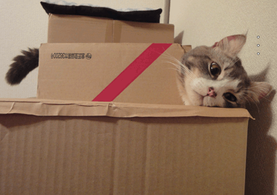 続・いっくんの “それゆけ 一球入魂 ”-切れ目2